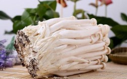 海鲜菇冷藏到底能放多久？