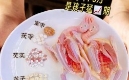 宝宝吃的鸽子怎么做好吃
