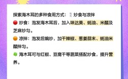 像木耳的海鲜叫什么菜？