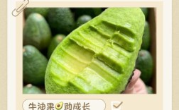 牛油果辅食怎么做宝宝才爱吃？