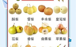 吃完海鲜能不能吃梨子