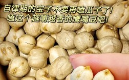 宝宝能吃鹰嘴豆稀饭吗？