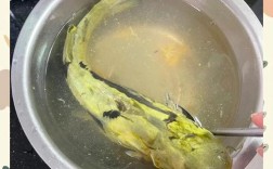 宝宝辅食选什么鱼最合适？