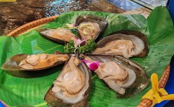 海鲜带子图片大全图解，带子怎么挑、做才好吃？