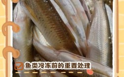 海鲜冻鱼做法大全家常