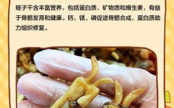 海鲜干货如何制成？