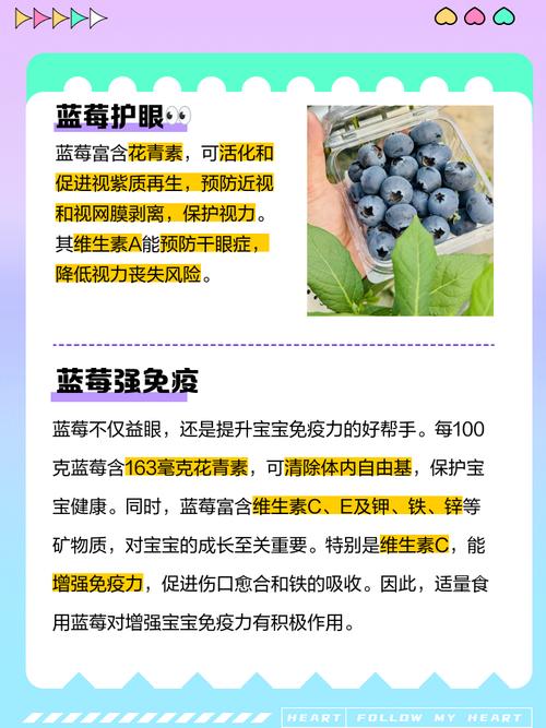 10月宝宝能吃蓝莓吗？怎么吃才安全？-图1