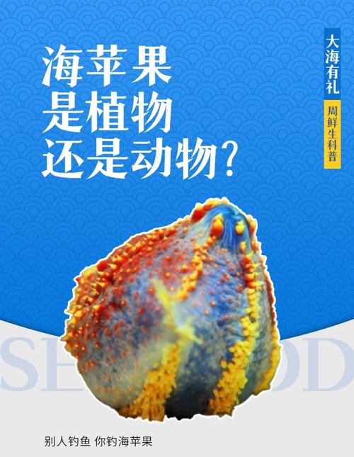 朝鲜海鲜海苹果怎么做？-图2