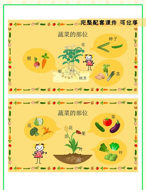 素食宝宝与和风菜宝宝，营养差异有多大？-图1