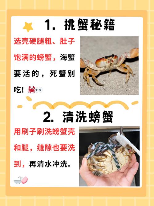 清蒸螃蟹怎样做才鲜嫩不腥?-图2 清蒸螃蟹怎样做才鲜嫩不腥?-图2