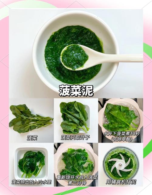 六个月宝宝能吃菠菜泥吗？-图1