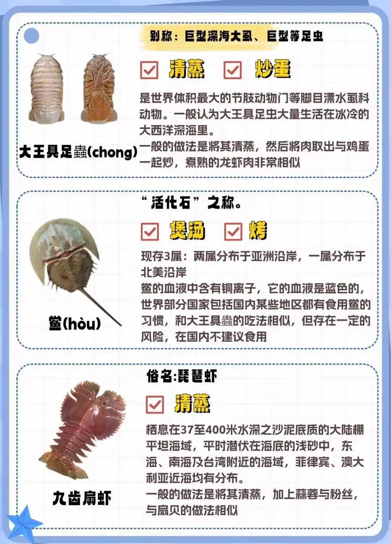 海鲜杂烩为何拒绝分类？-图3