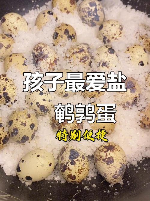 七个月宝宝能吃鹌鹑蛋吗？-图3