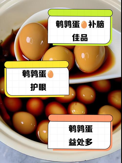 七个月宝宝能吃鹌鹑蛋吗？-图1