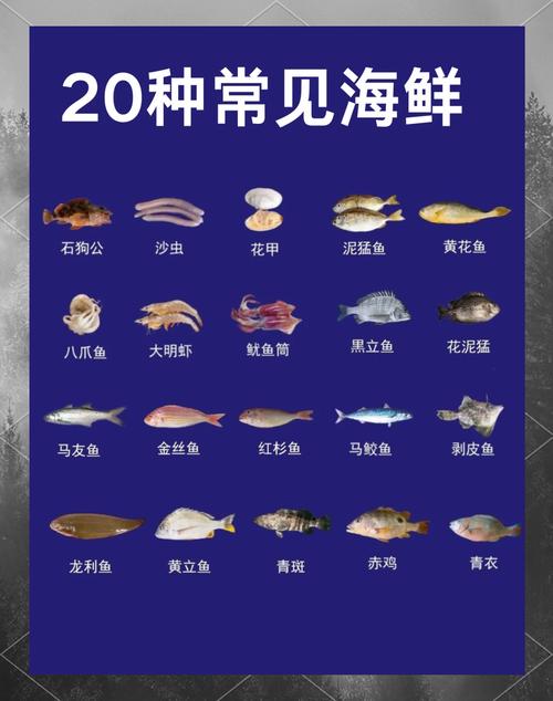常见海鲜图片及名称大全，有哪些常见海鲜？-图2