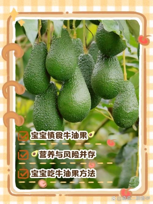 7月宝宝能吃牛油果吗？怎么吃才安全？-图2