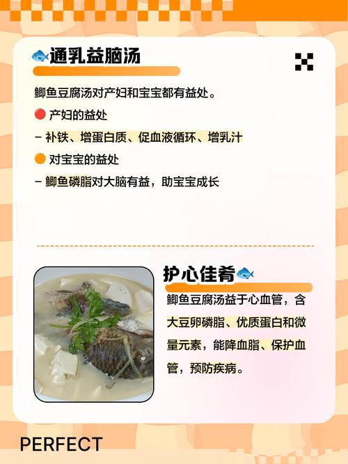 宝宝喝鲫鱼汤到底有什么功效与作用？-图2