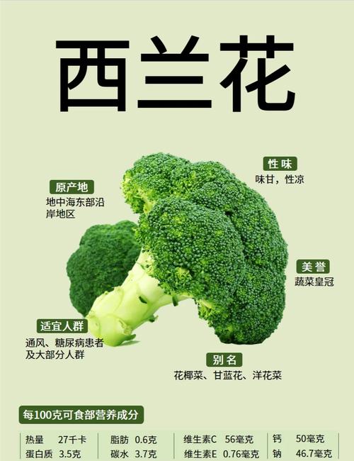 宝宝吃西兰花到底有哪些好处?-图1 宝宝吃西兰花到底有哪些好处?-图1