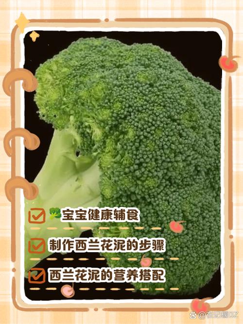 一岁宝宝西兰花辅食怎么做？-图2