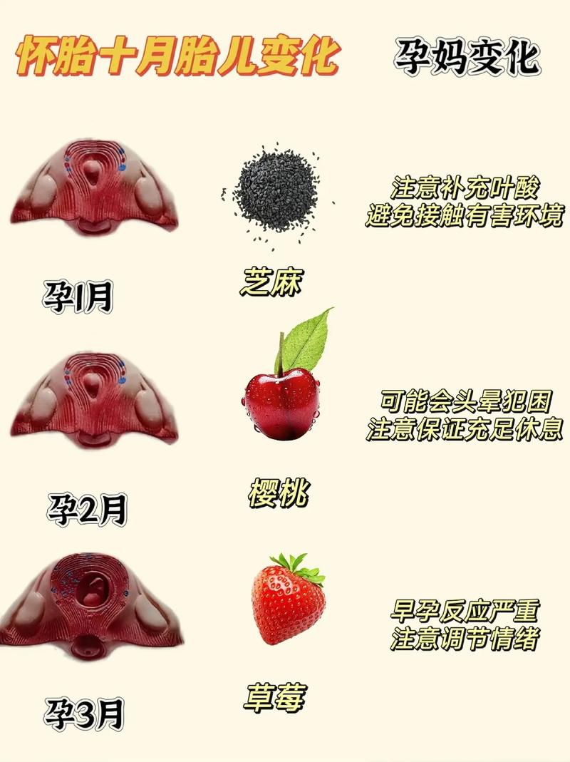 水果宝宝如何生宝宝？-图2