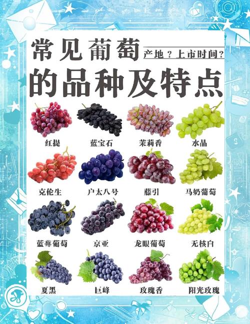 海鲜后吃葡萄，隔多久才安全？-图3