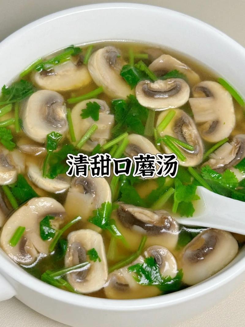 鲜口蘑汤家常做法有哪些？-图2