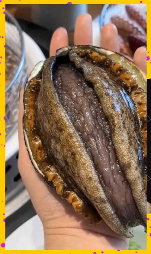 海鲜鲍鱼的图片大全图解-图3