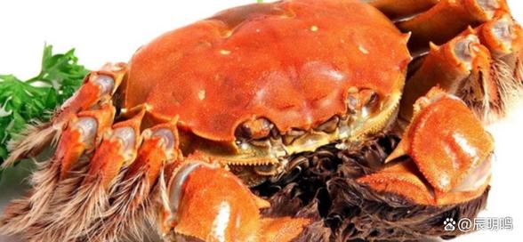 吃了少量海鲜又吃西红柿会中毒吗？-图3