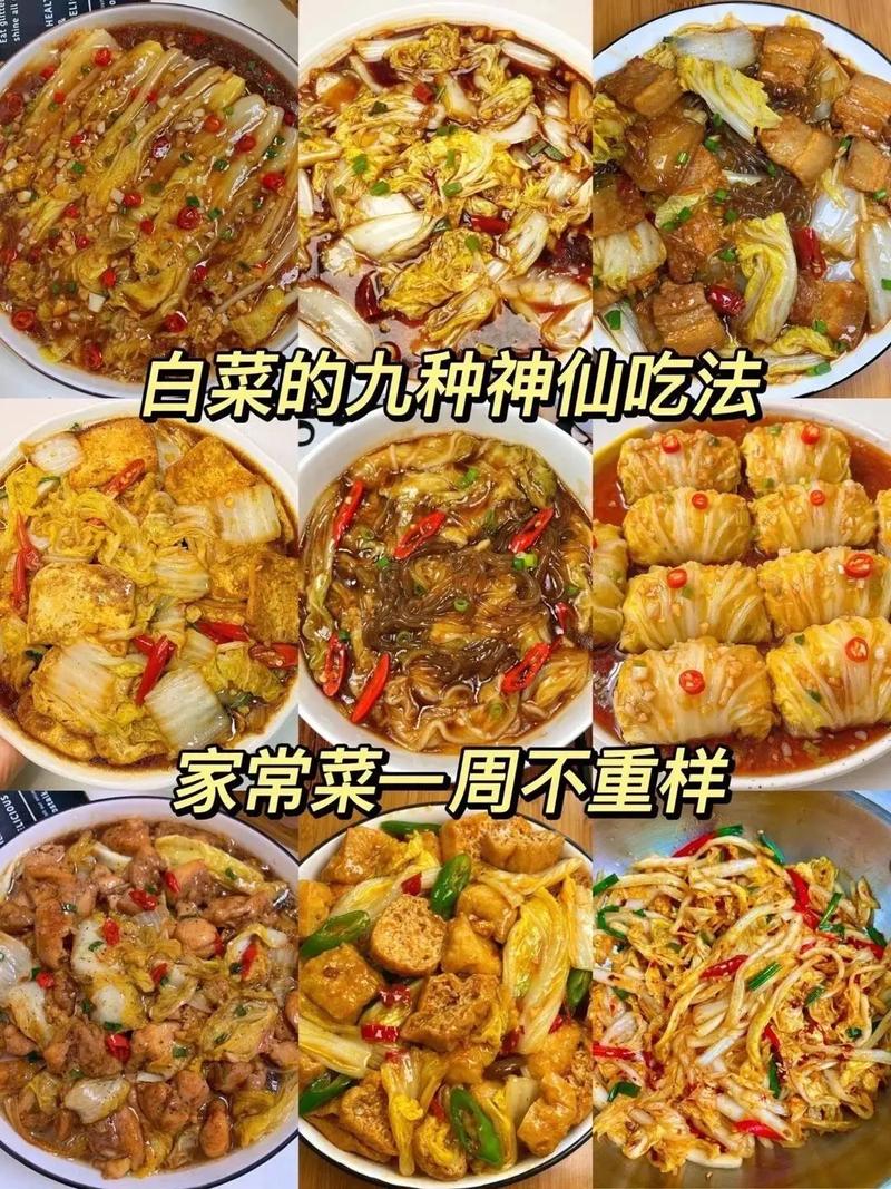 家常白菜做法大全，哪种做法最简单又美味？-图2