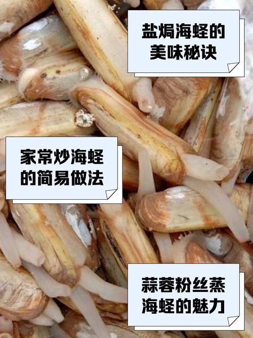 海鲜圣子怎么做才好吃？日常如何正确养护？-图1