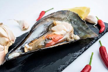 海鲜带子图片大全图解，带子品种怎么区分？-图1