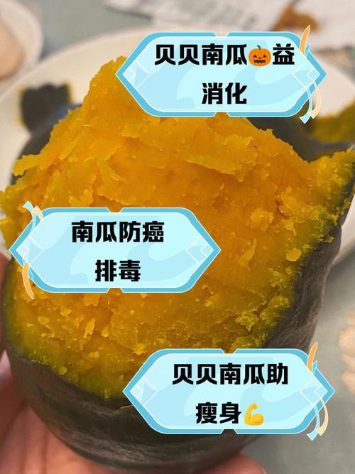 6月宝宝能吃南瓜吗？-图3