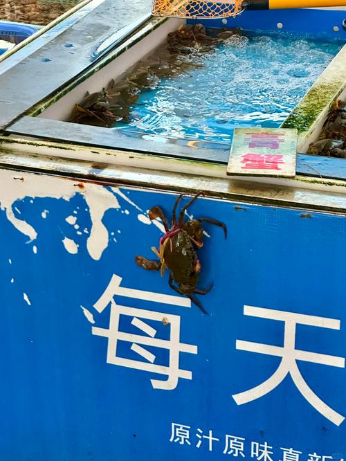 南沙十九涌海鲜市场怎么走？-图1