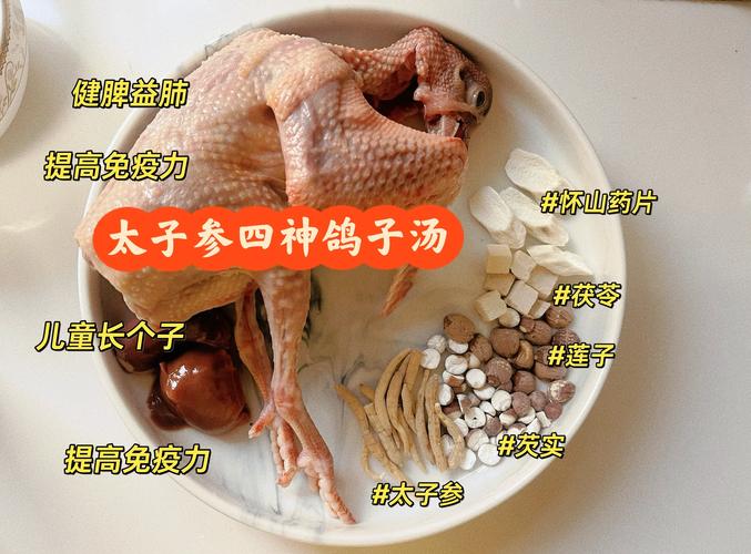 3岁宝宝能喝鸽子汤吗？需注意什么？-图3