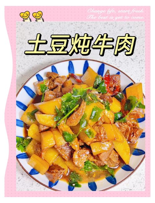 土豆炖牛肉家常做法视频，关键步骤有哪些？-图2