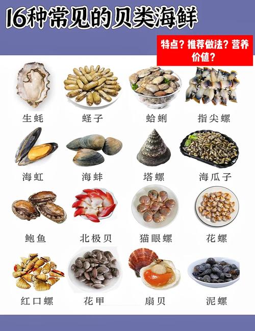 南方海鲜的做法大全图片-图3