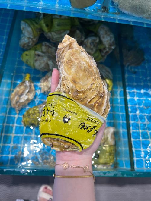 大chen 是什么海鲜-图3