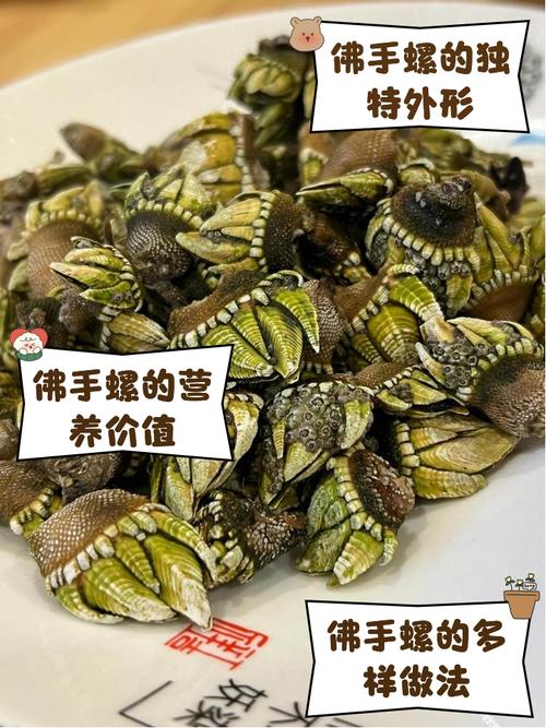 海鲜佛手多少钱？-图2