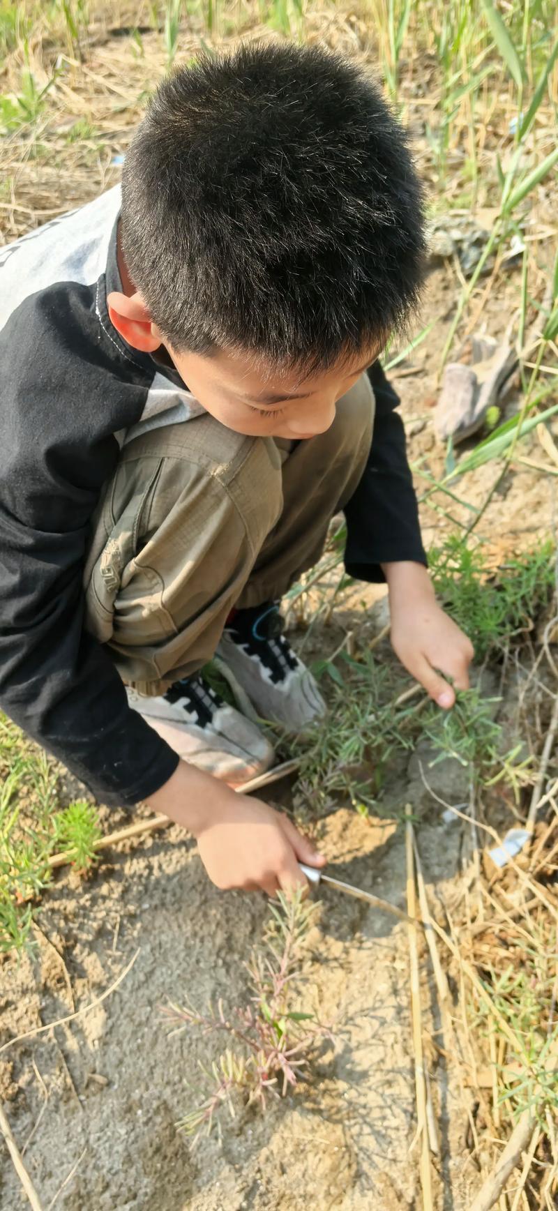 宝宝吃蔬菜拉蔬菜怎么办-图3