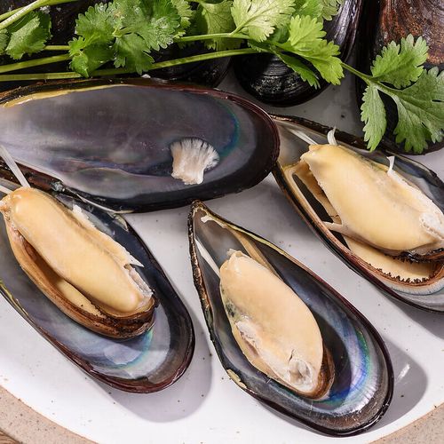 mussel是什么海鲜-图2