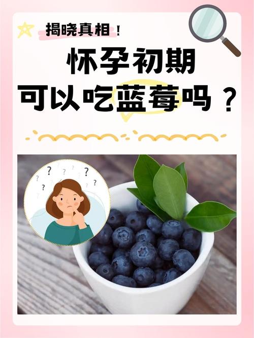 15月宝宝能吃蓝莓吗？-图3