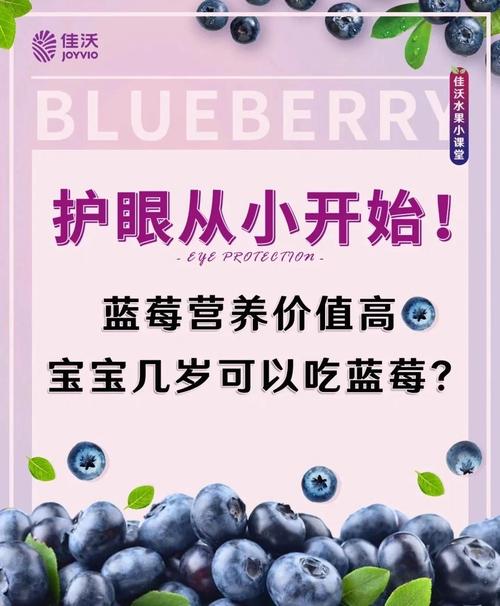 15月宝宝能吃蓝莓吗？-图1