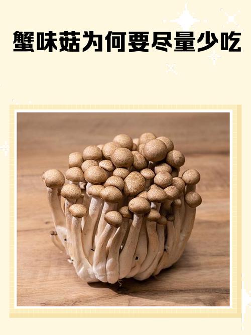 海鲜菇含海鲜成分吗？-图2