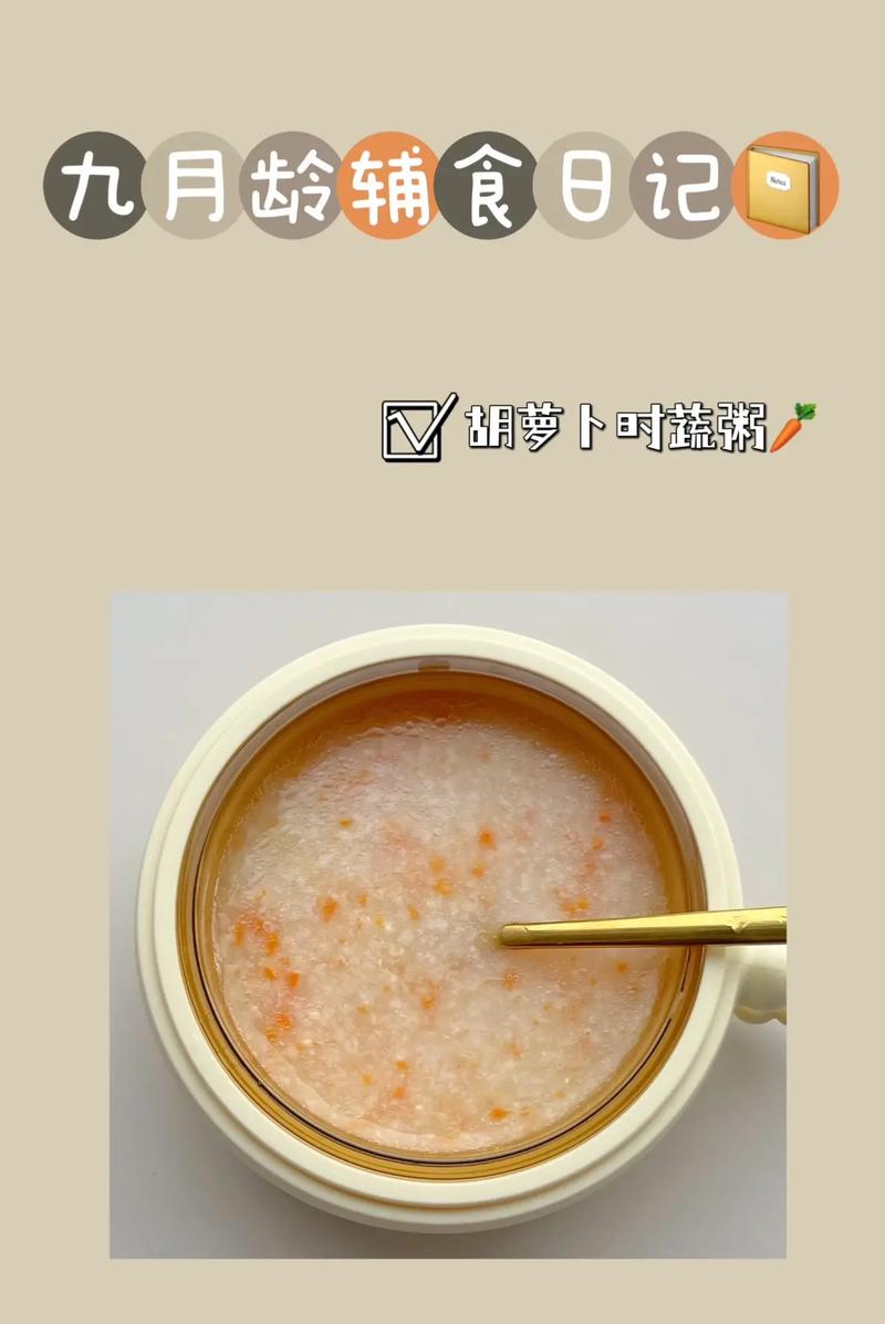 胡萝卜粥怎么做给宝宝吃-图1