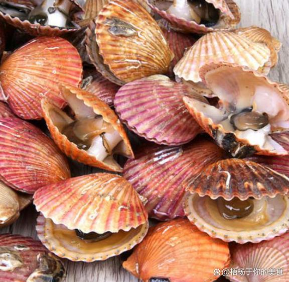 无壳海鲜有哪些？-图1