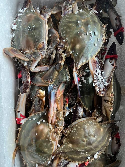 无壳海鲜有哪些？-图2