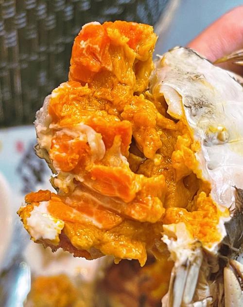 海鲜海鲜和白菜能同吃吗-图2