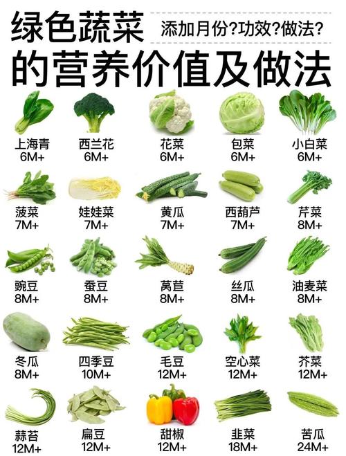 2岁宝宝适合吃哪些青菜?-图1 2岁宝宝适合吃哪些青菜?-图1