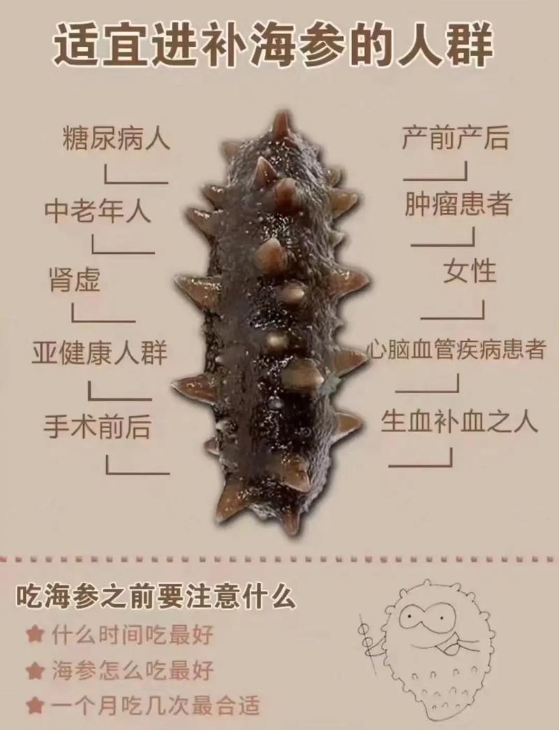 忌口海鲜海参算不算海鲜-图2