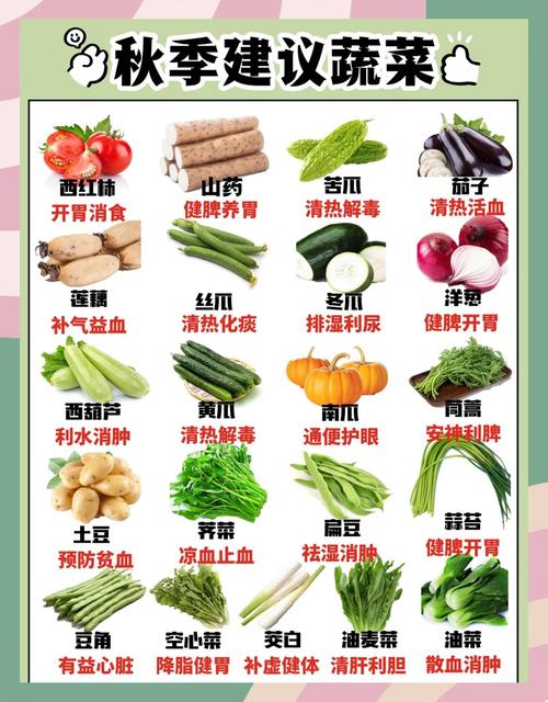 1岁宝宝上火，哪些蔬菜能缓解？-图1